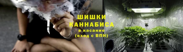 СК Верея