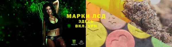 СК Верея