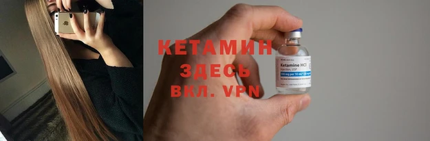 индика Волосово