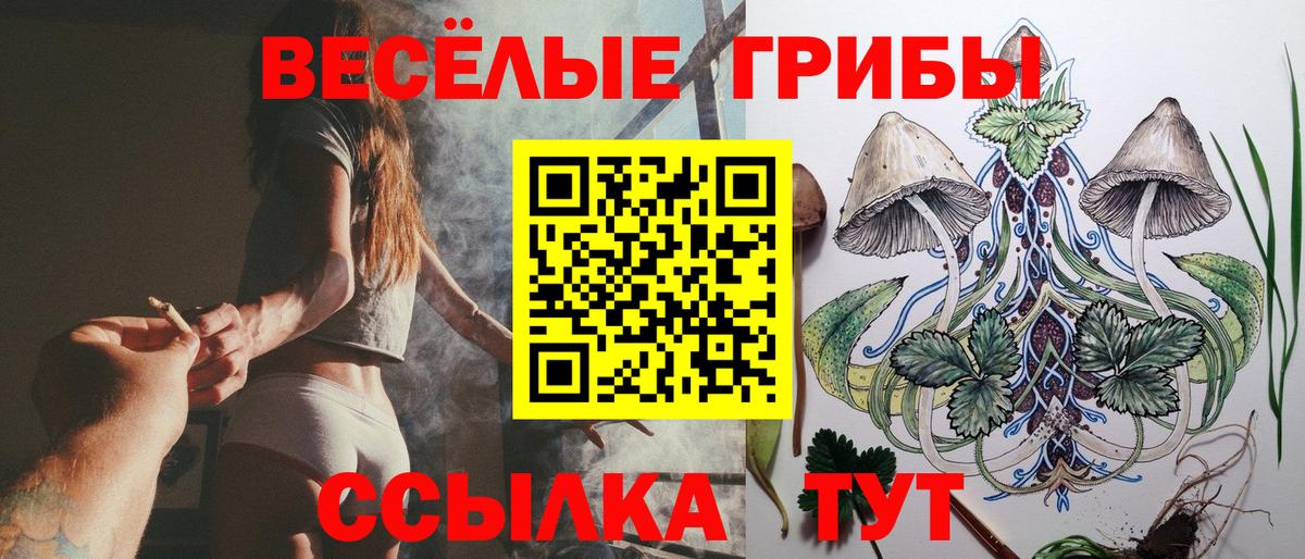 Галлюциногенные грибы MAGIC MUSHROOMS  Вход с VPN  Гагарин  Галлюциногенные грибы мухоморы 