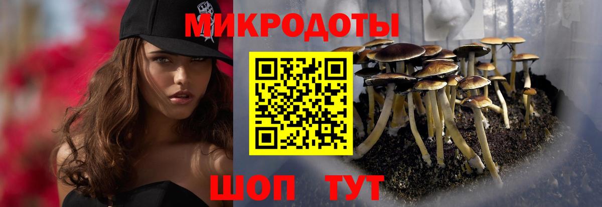 Псилоцибиновые грибы Psilocybine cubensis Гагарин