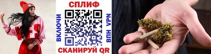 Канабис планчик  МЕГА сайт  Гагарин 